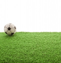 SMART Goals Program